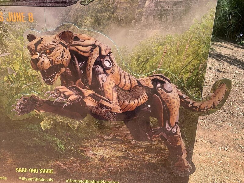 Image Of Transformers Rise Of The Beasts   Beast Awakening Taronga Zoo In Sydney, Australia 2   (15 of 21)